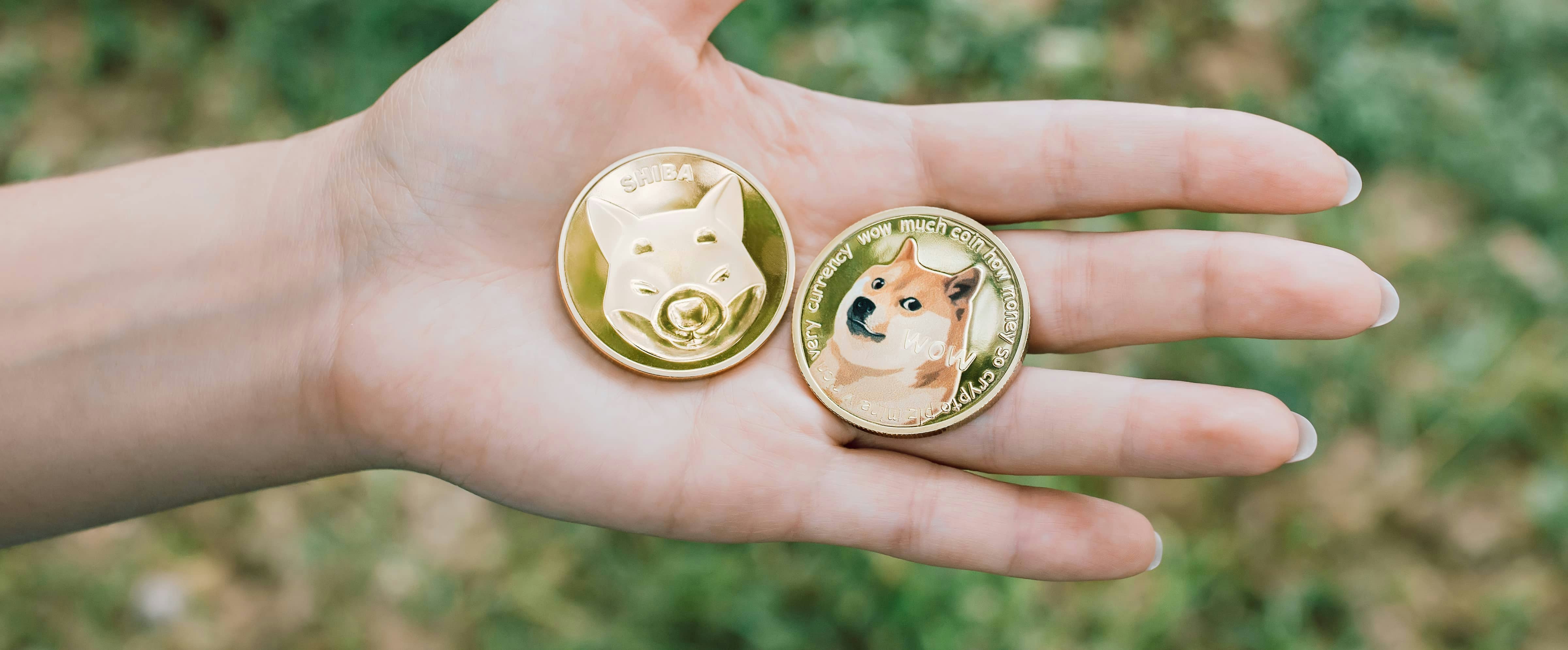 Das Doppelgespann Scherzmünzen: Dogecoin vs. Shib Coin